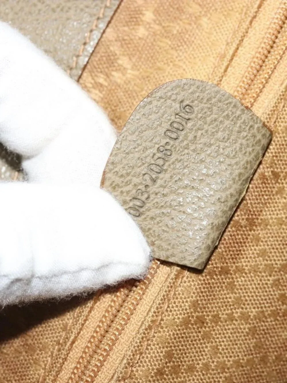 Gucci brand	gucci color	khaki