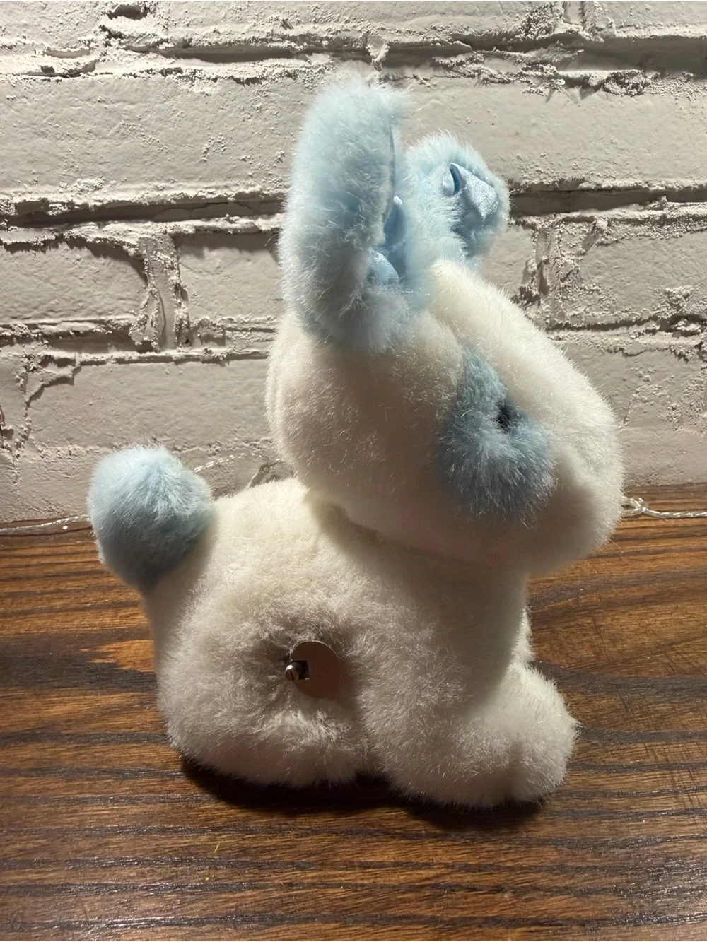 Eden vintage puppy