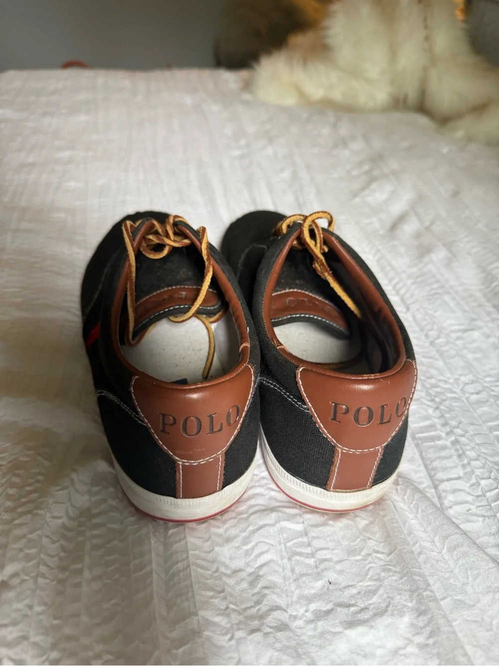 Polo Ralph Lauren low top