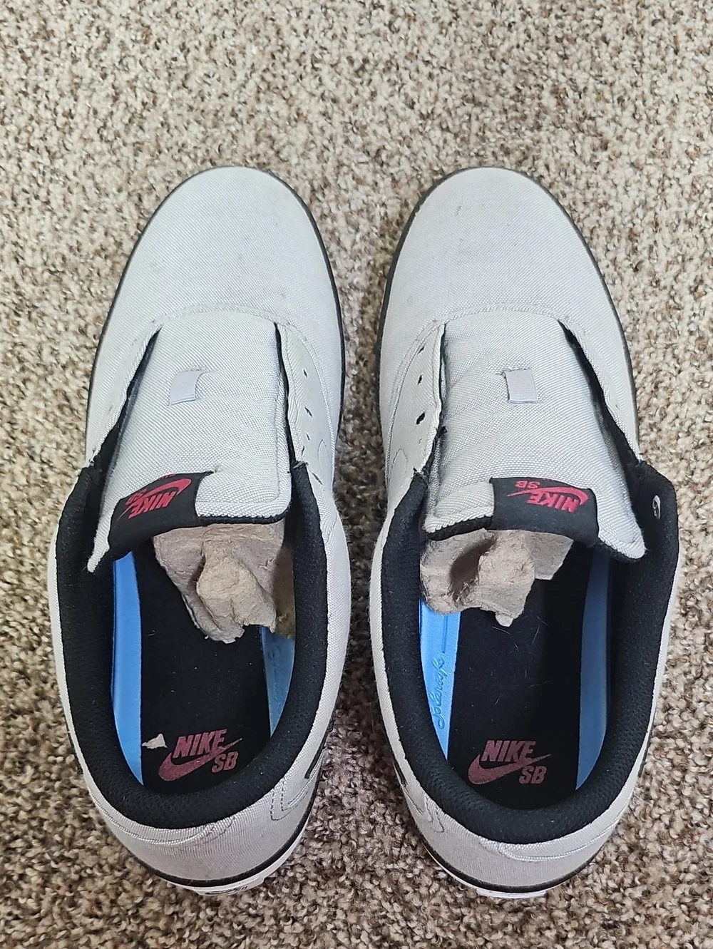 Nike sb check