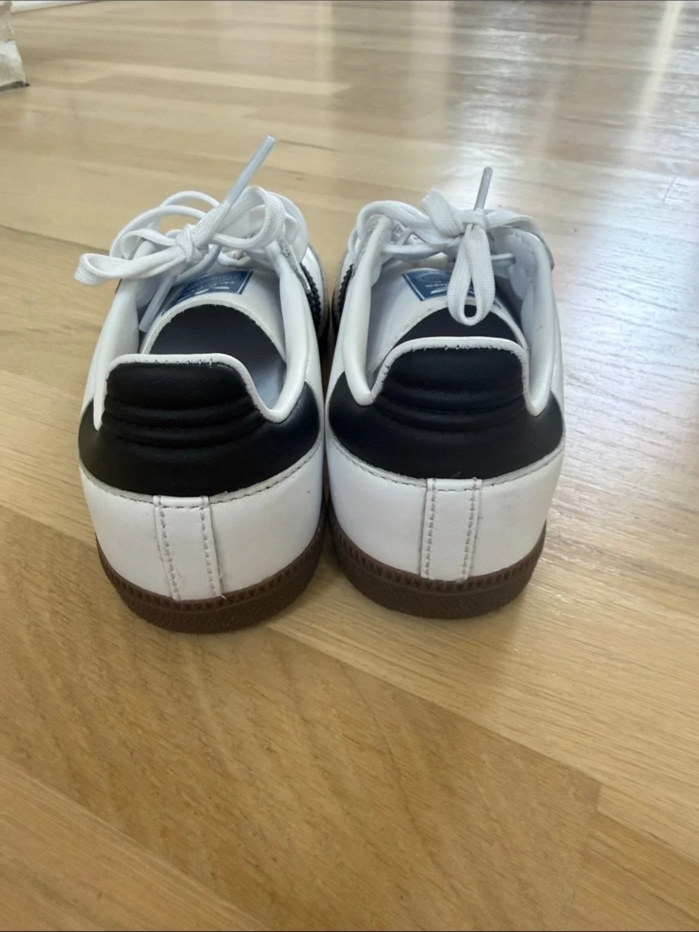 adidas classic samba