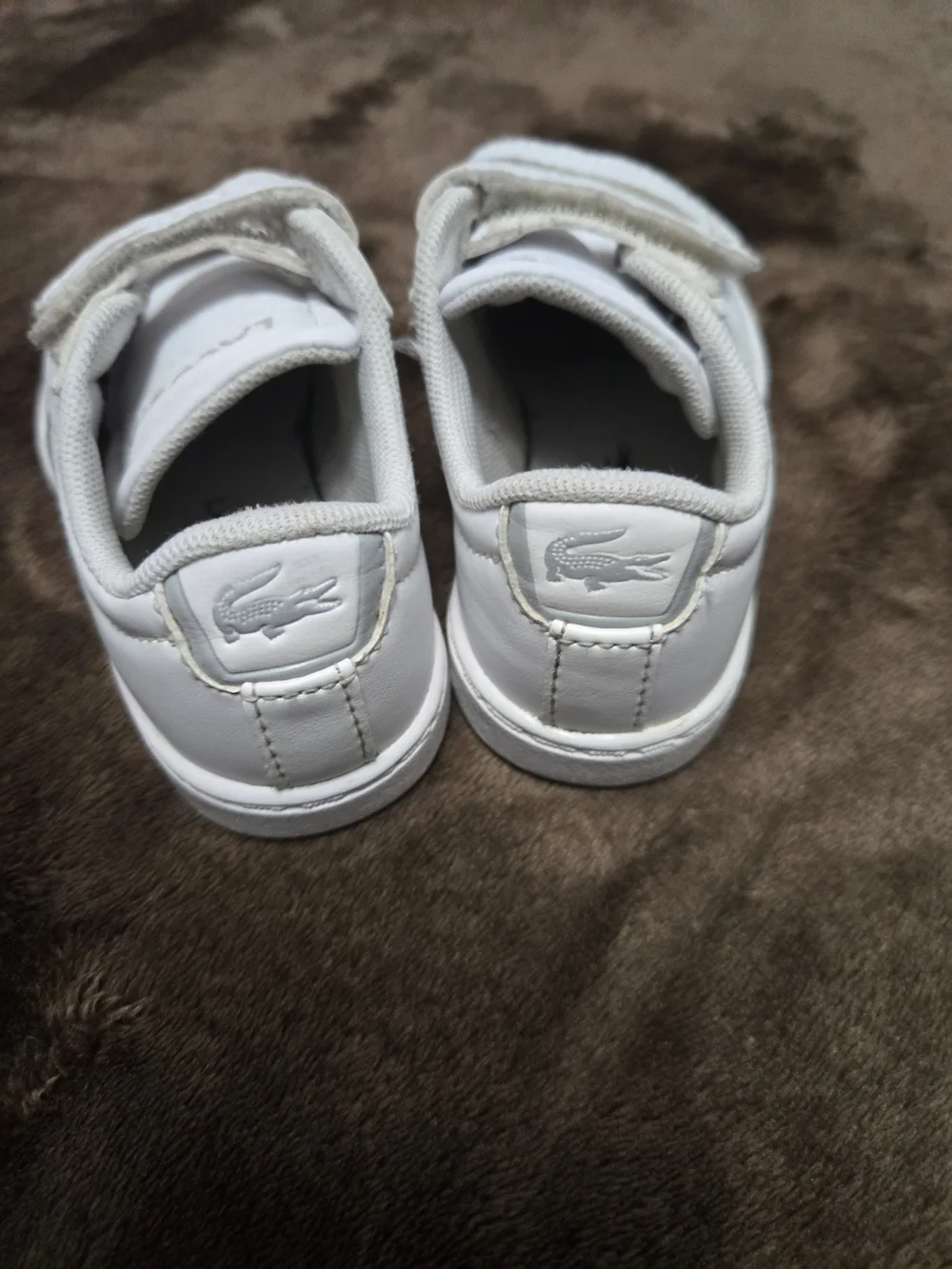 Lacoste kids sneaker