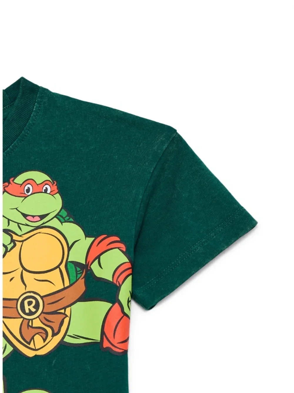 Teenage Mutant Ninja Turtles teenage mutant
