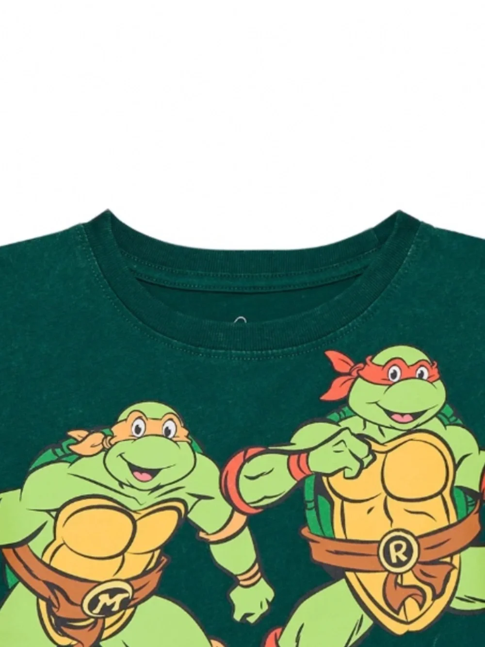 Teenage Mutant Ninja Turtles teenage mutant