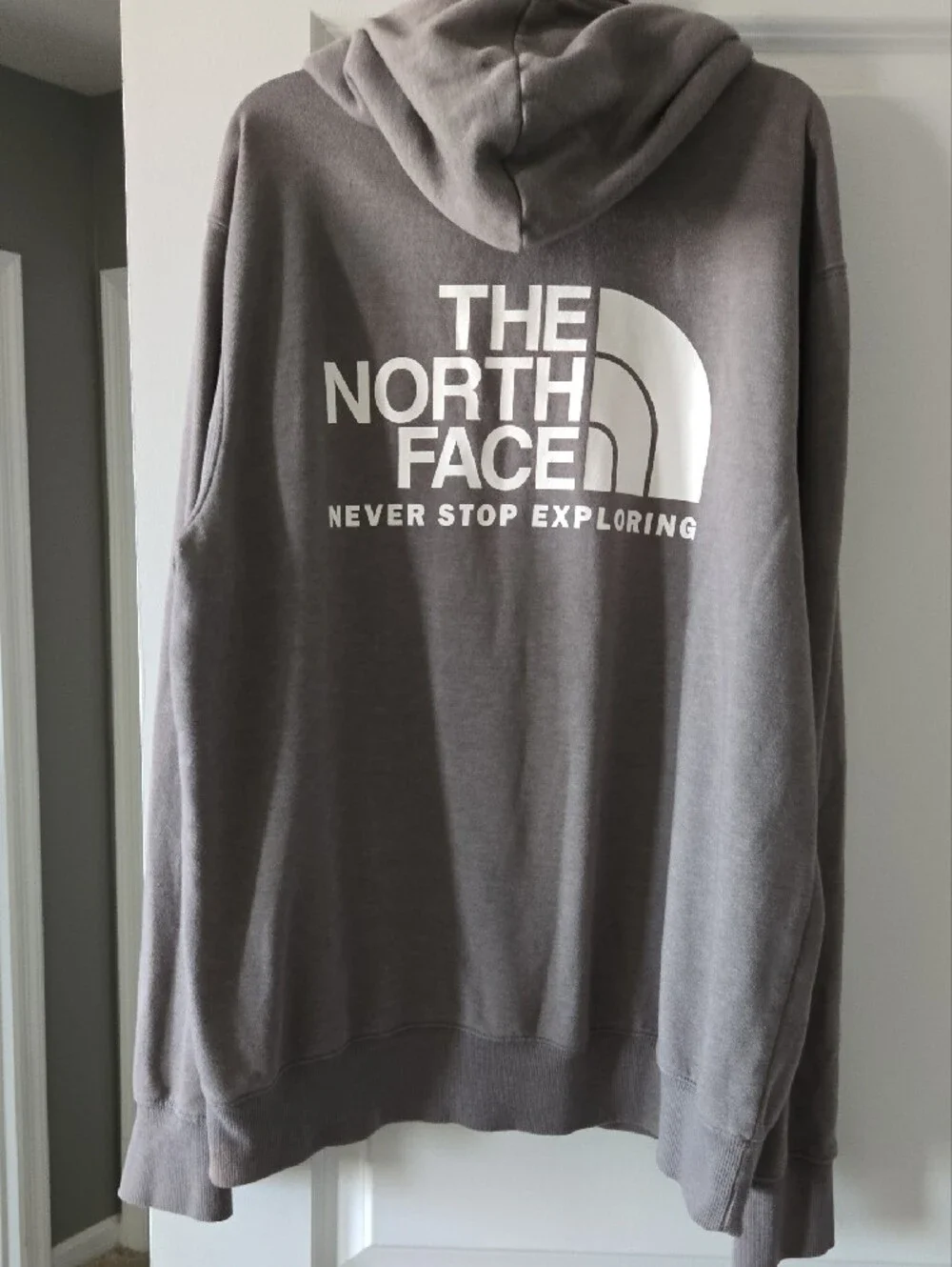The North Face Pullover Hoodie in Light Gray with Logo