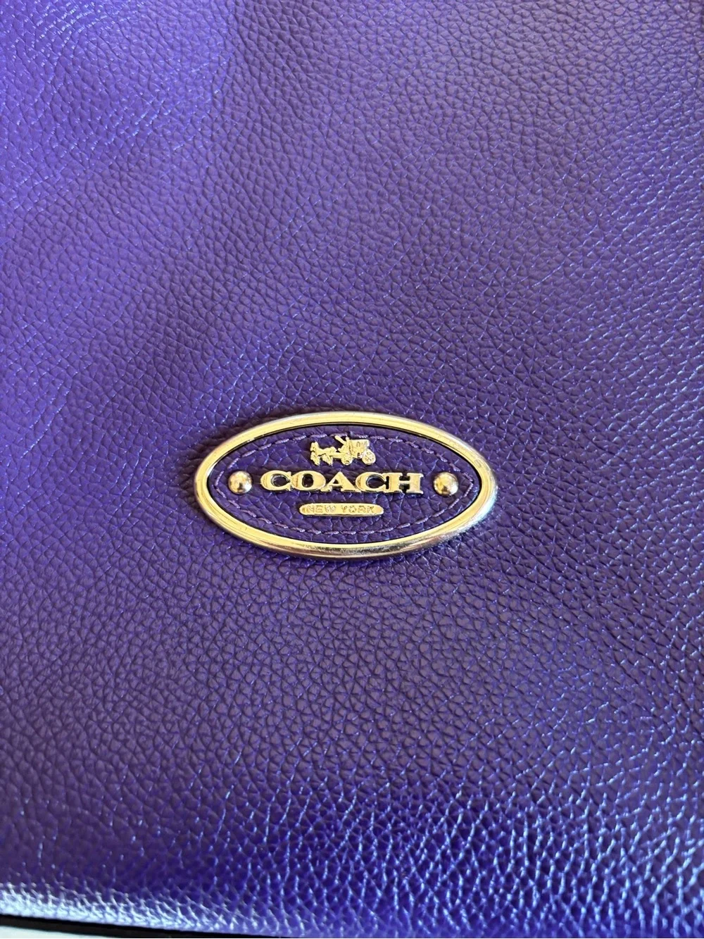Coach pebbled leather