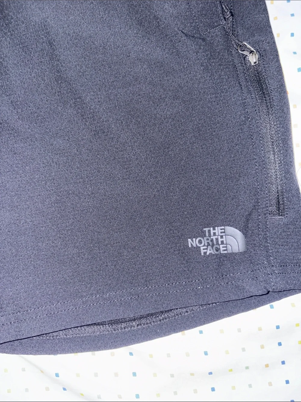 The North Face Men's Shorts