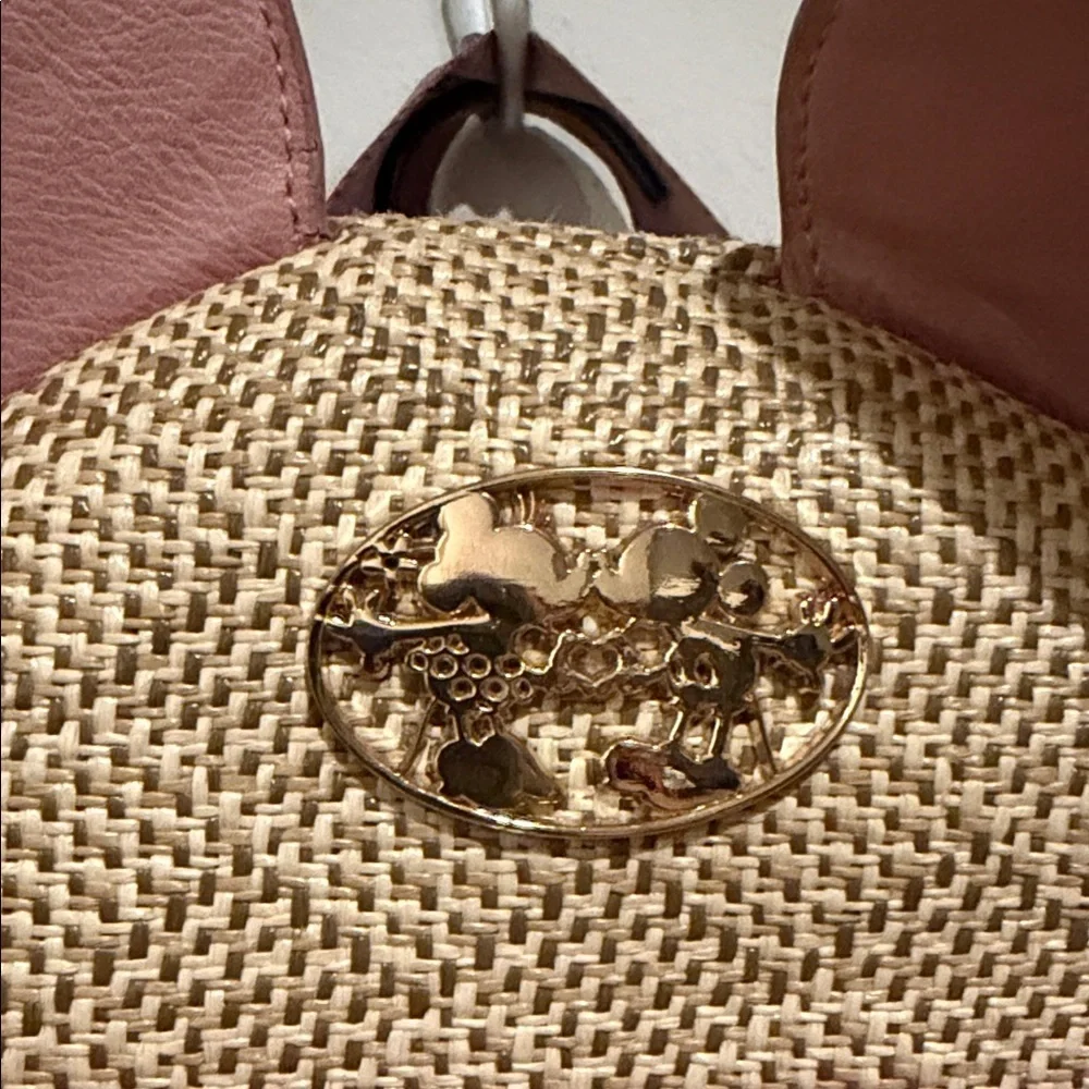 Disney adorable backpack