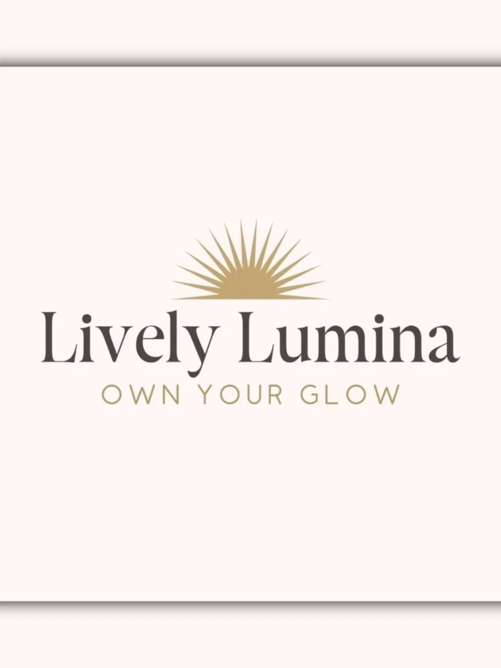 Lively Lumina a636 flash