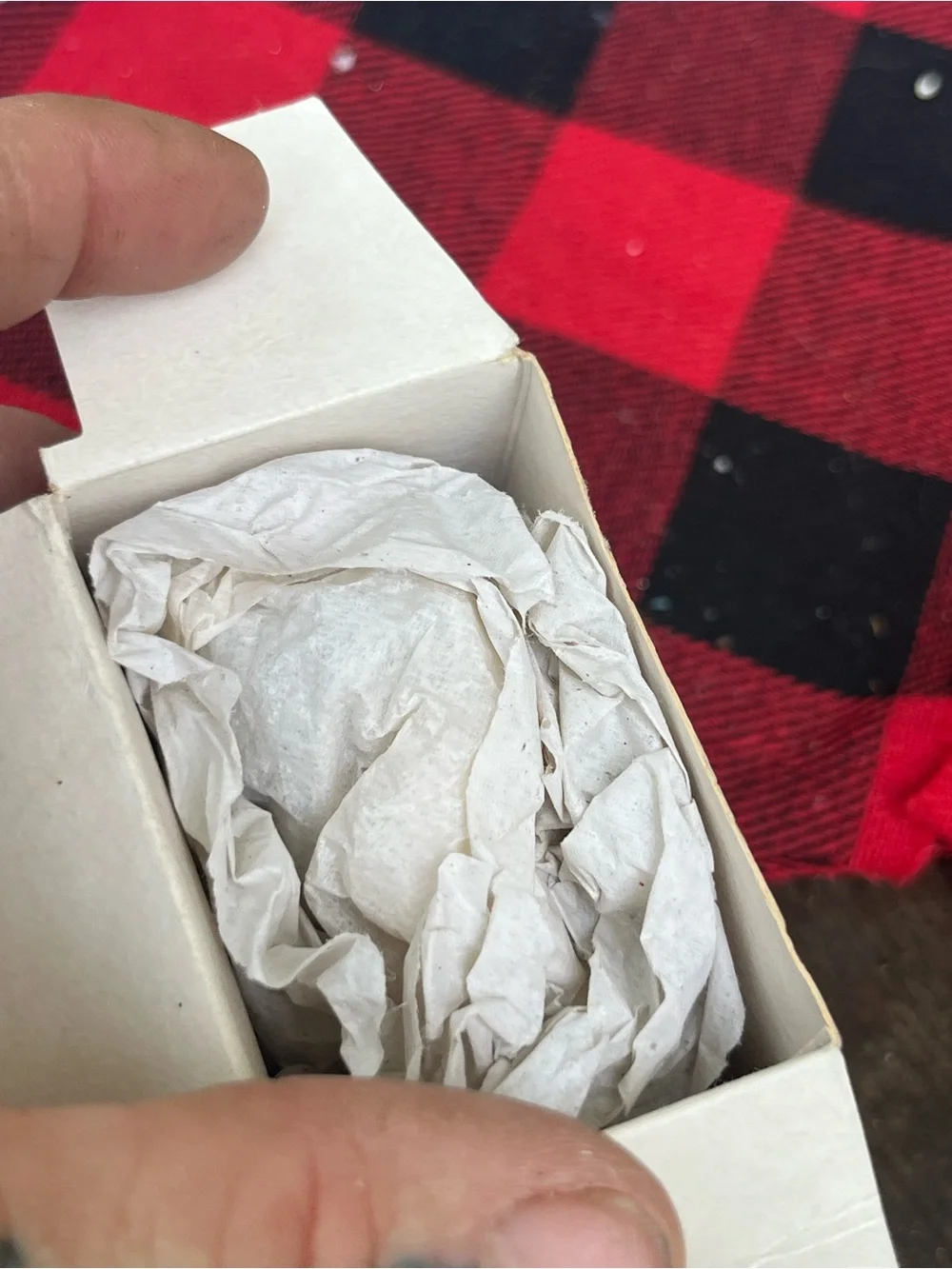 Hallmark ornament depicts