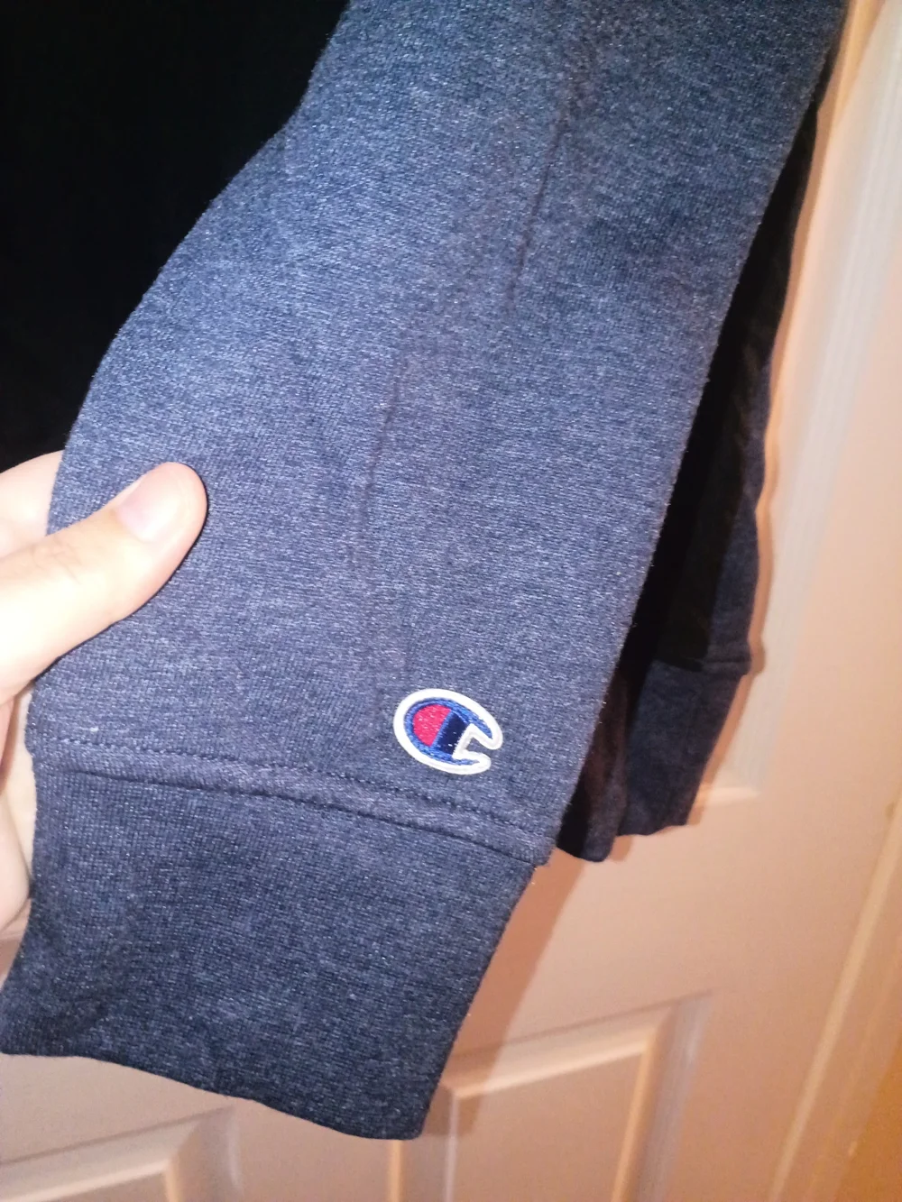 Champion men’s hooded