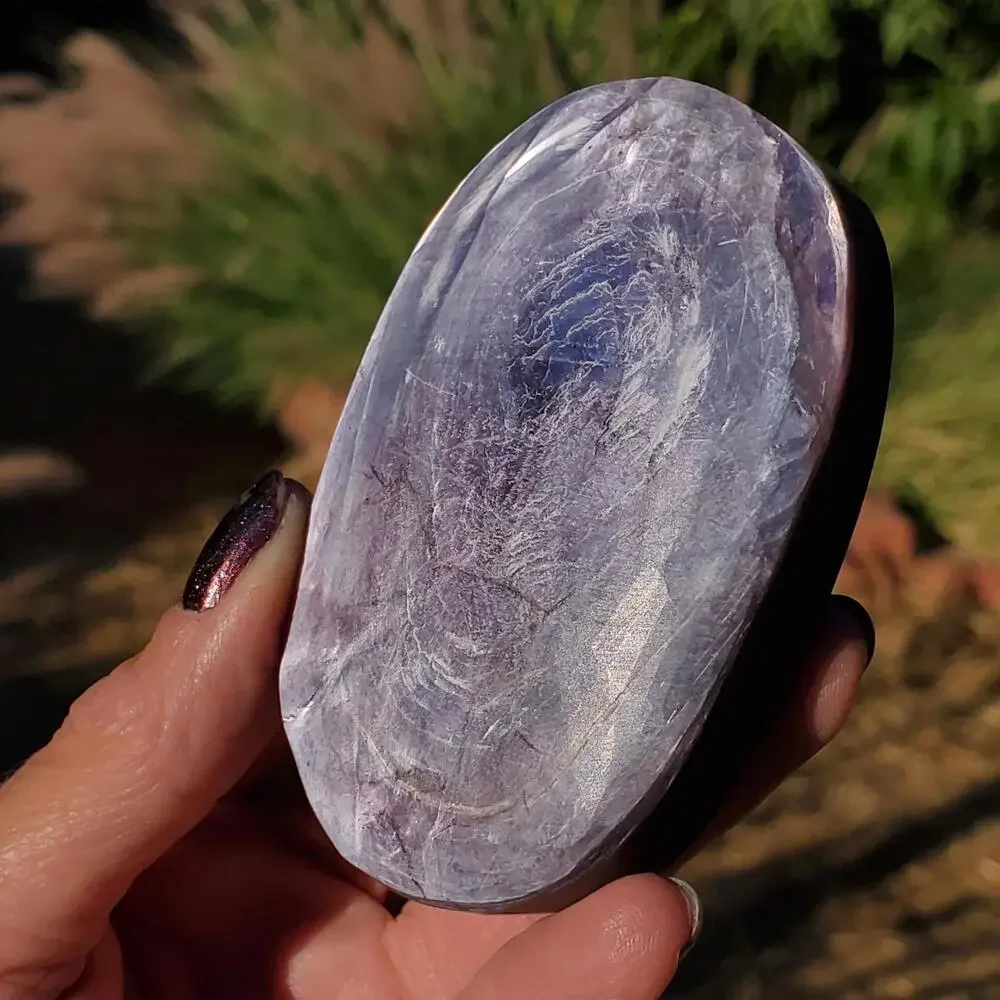 N/A brazilian purple
