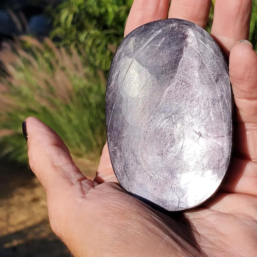 N/A brazilian purple
