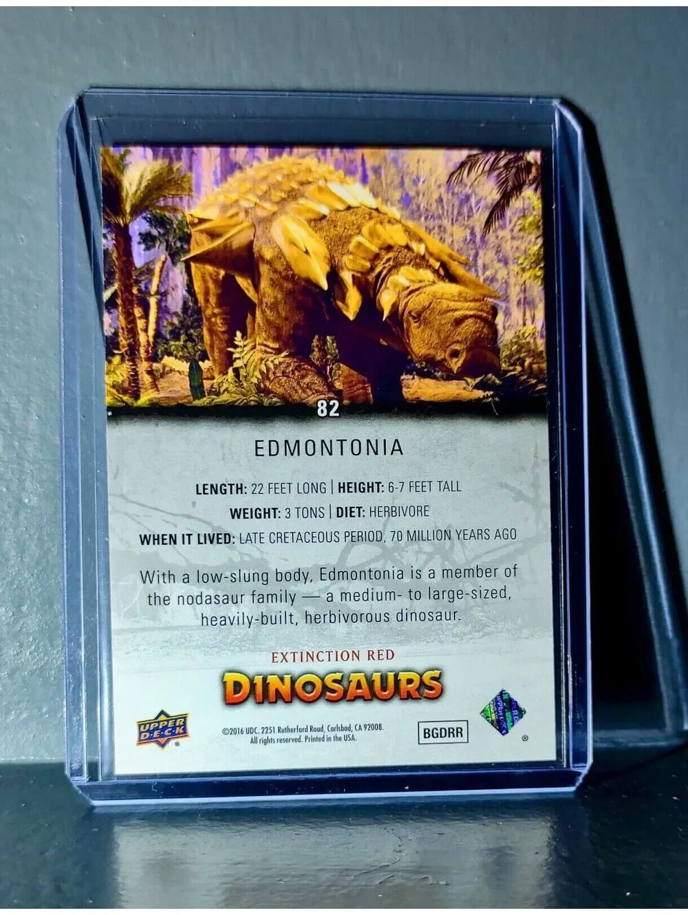 N/A unique dinosaurs