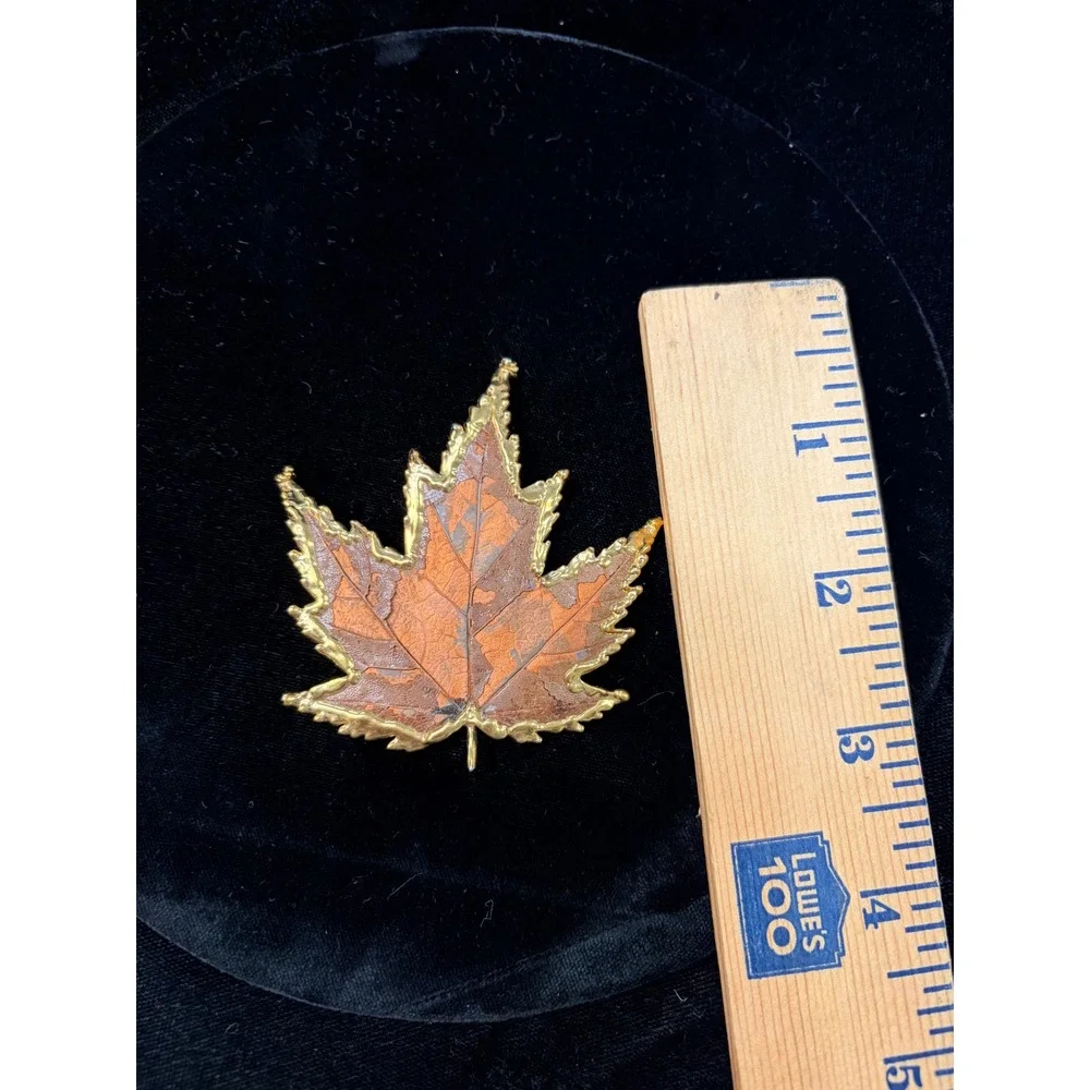 Vintage Real Maple Leaf Dipped in Gold Tone Brooch Pin Nature Jewelry 2.5 Inch