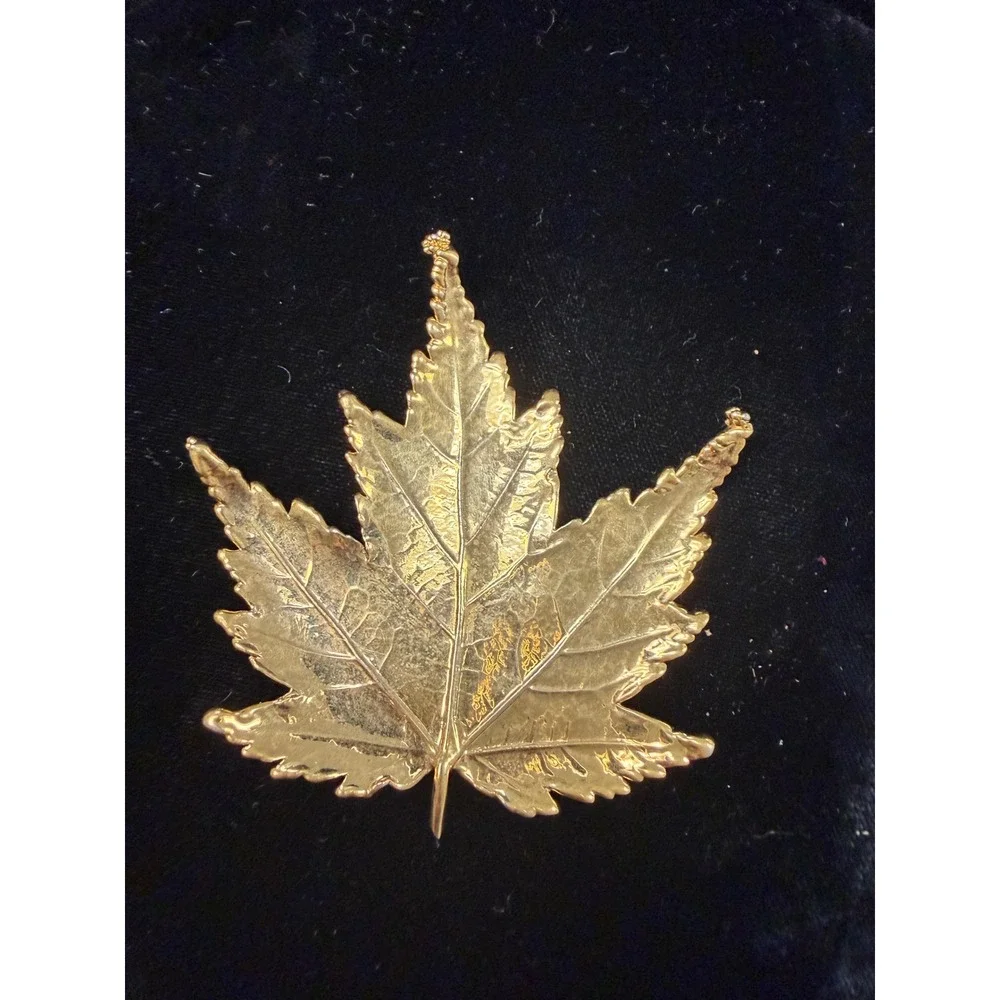 Vintage Real Maple Leaf Dipped in Gold Tone Brooch Pin Nature Jewelry 2.5 Inch