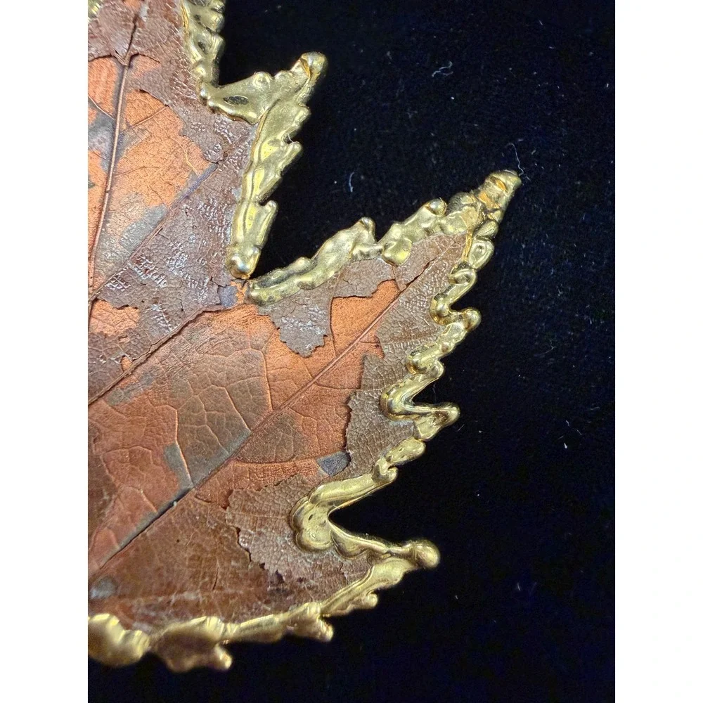 Vintage Real Maple Leaf Dipped in Gold Tone Brooch Pin Nature Jewelry 2.5 Inch