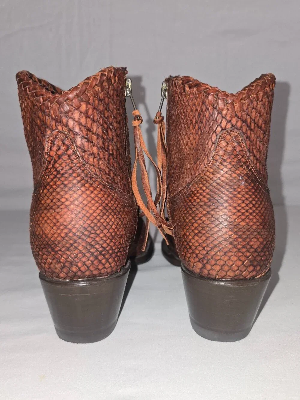 Allens women reptile