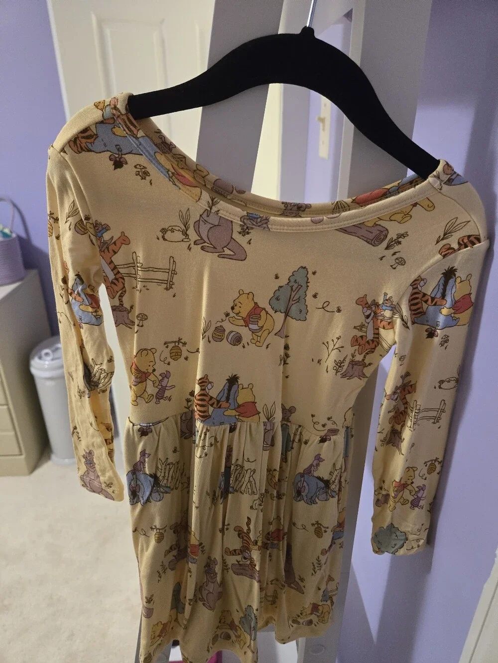 Winnie the Pooh Little Sleepies Long-Sleeve Dress 2T