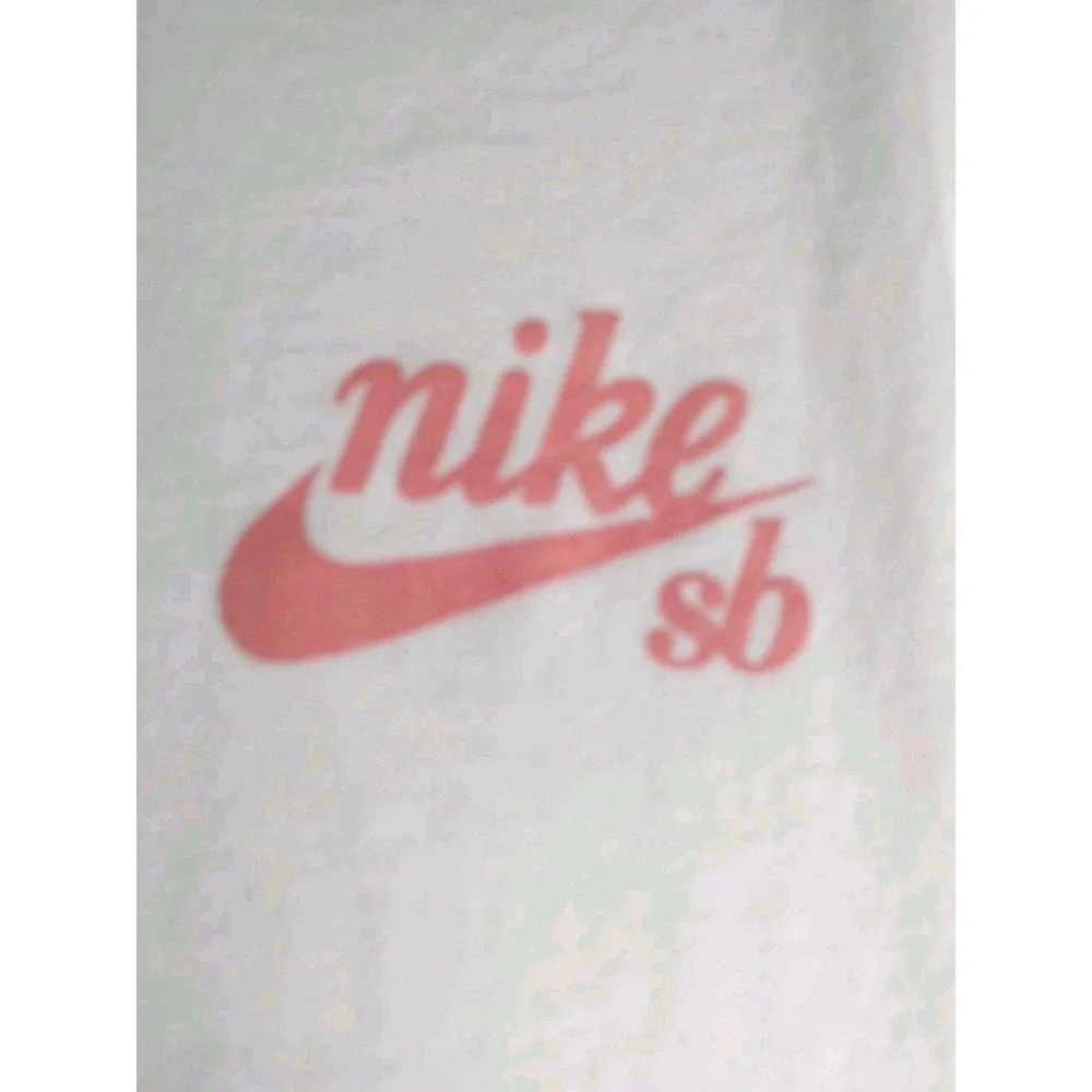 Nike sb dunk