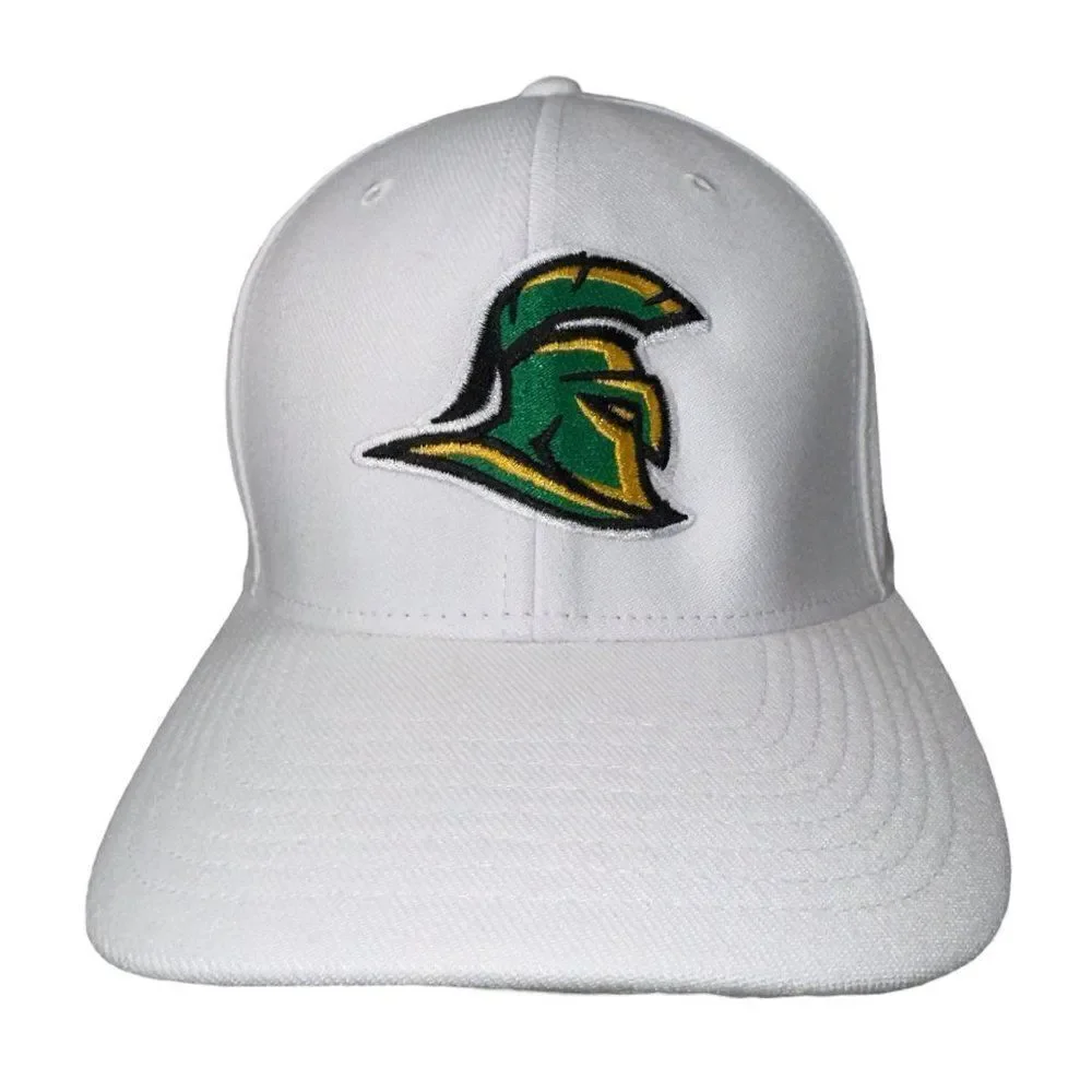 Nike Classic99 Dri-Fit‎ Spartan Fitted Hat White / Green / Gold L/XL