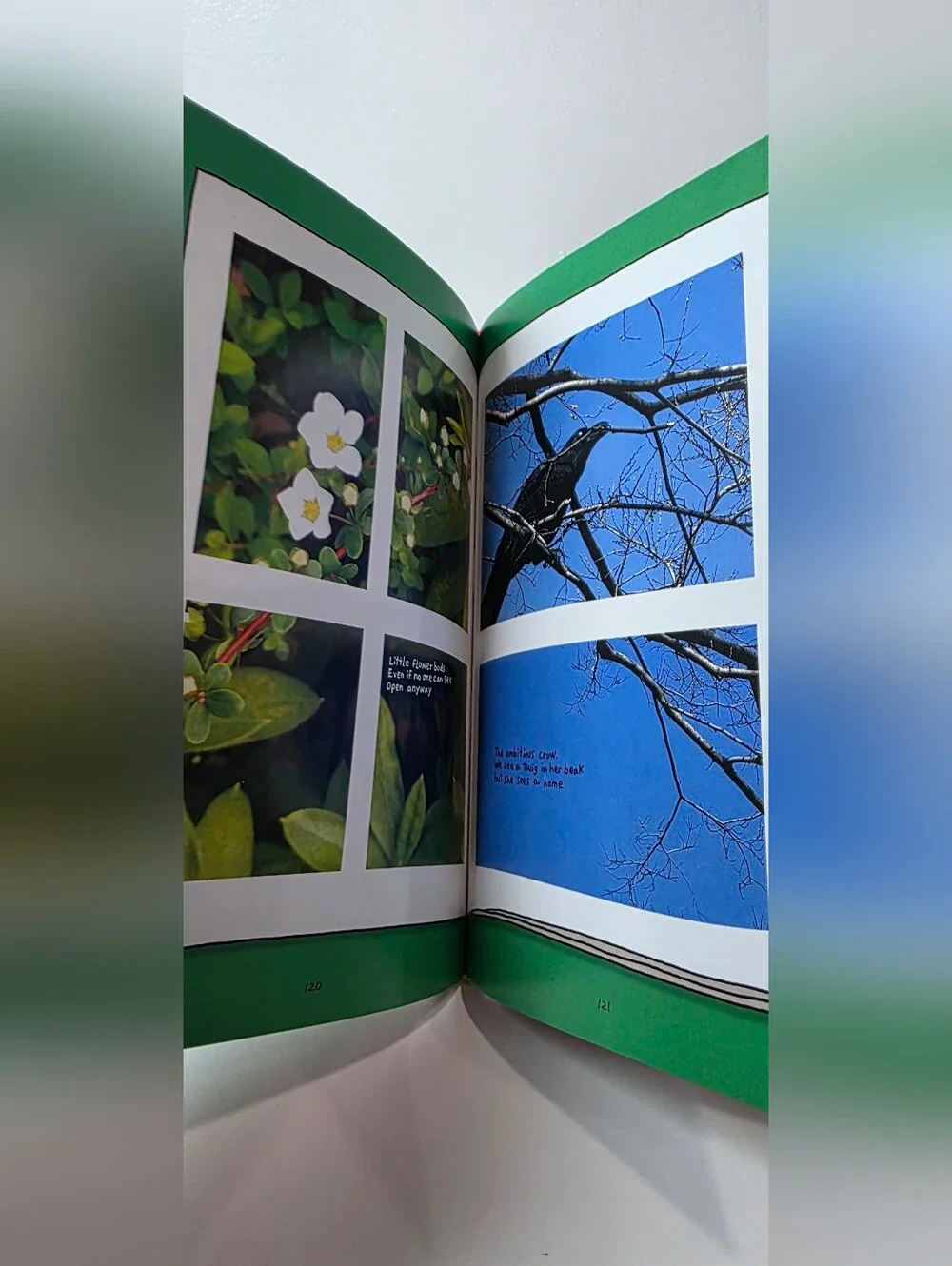 N/A hardcover copy