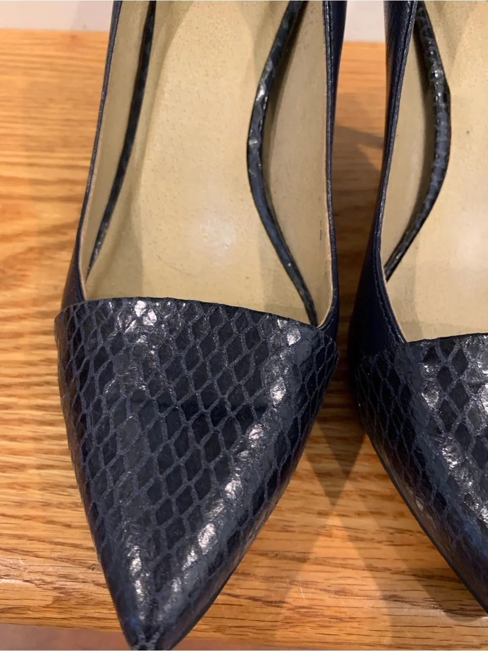 levity leather 5” stylish