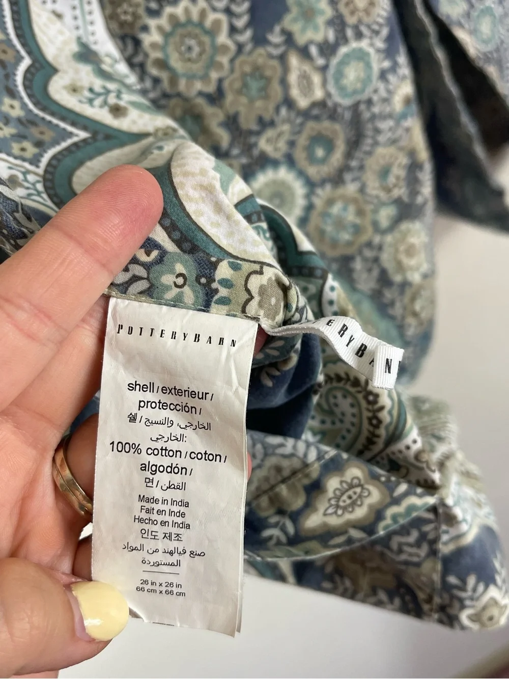 Pottery Barn Jordana Paisley Percale Euro Shams Set of 2