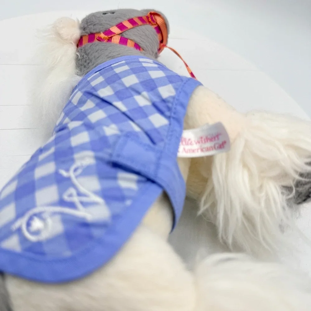American Girl includes removable