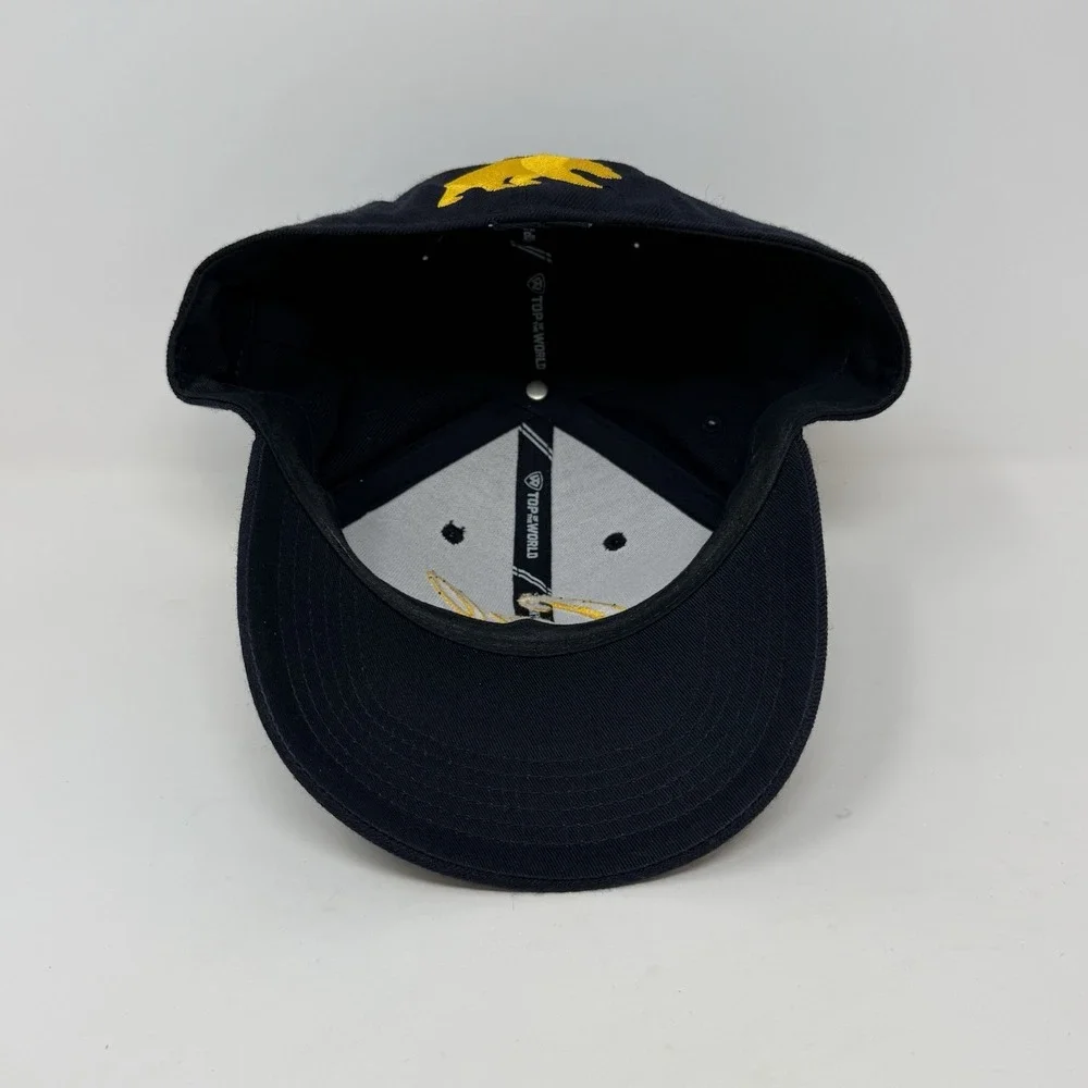 Top of the World product vintage