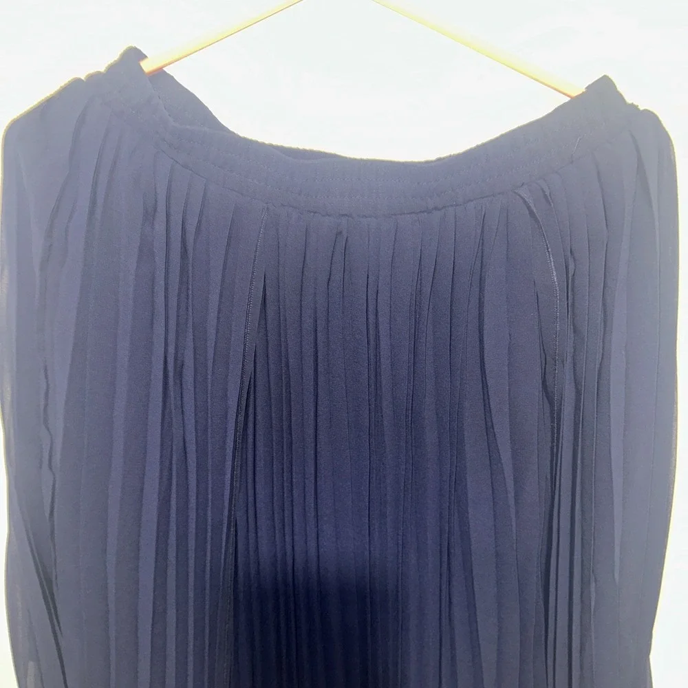 Pleione asymmetrical pleated