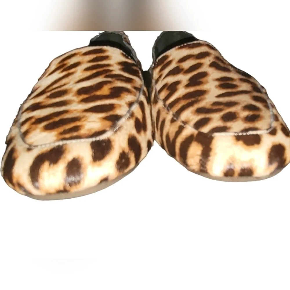 Gianni Bini unleash your