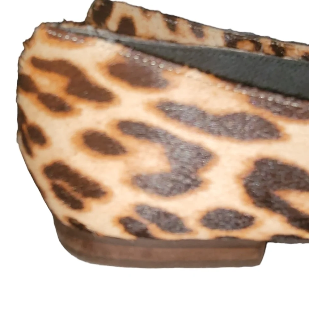 Gianni Bini unleash your