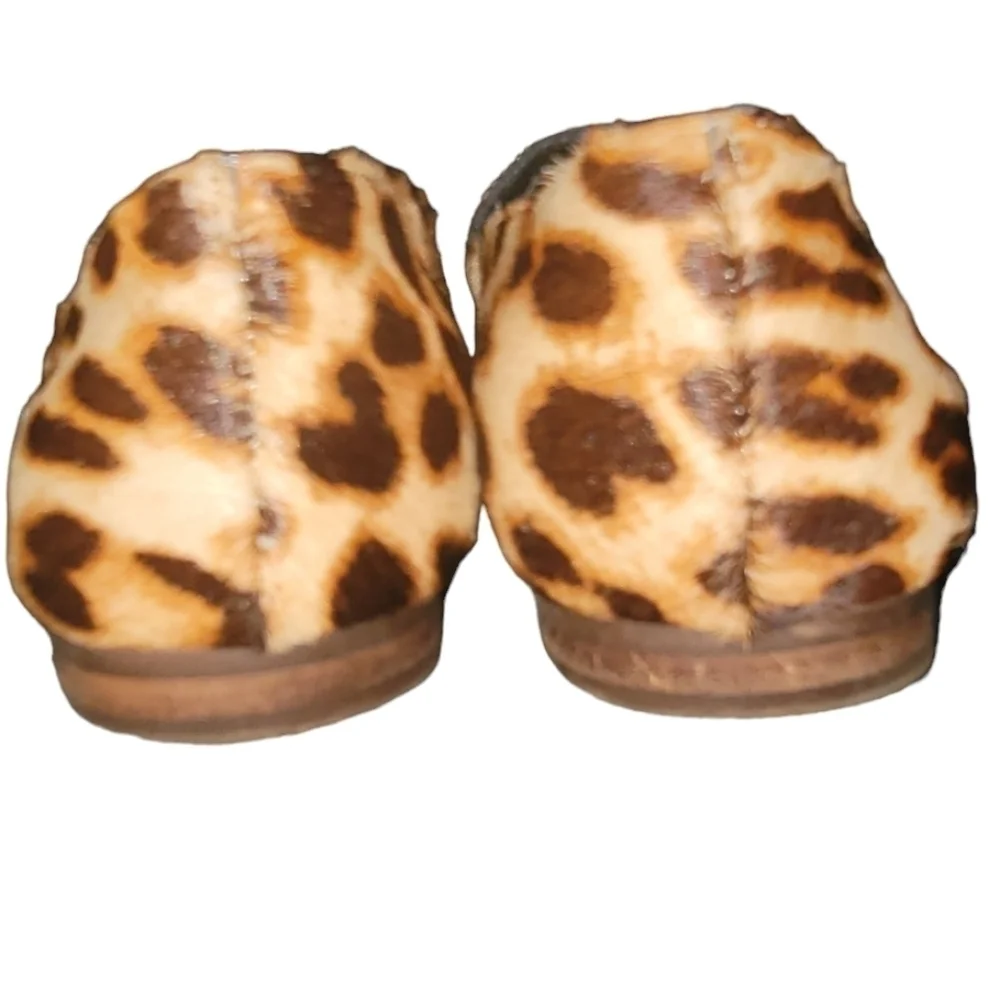 Gianni Bini unleash your