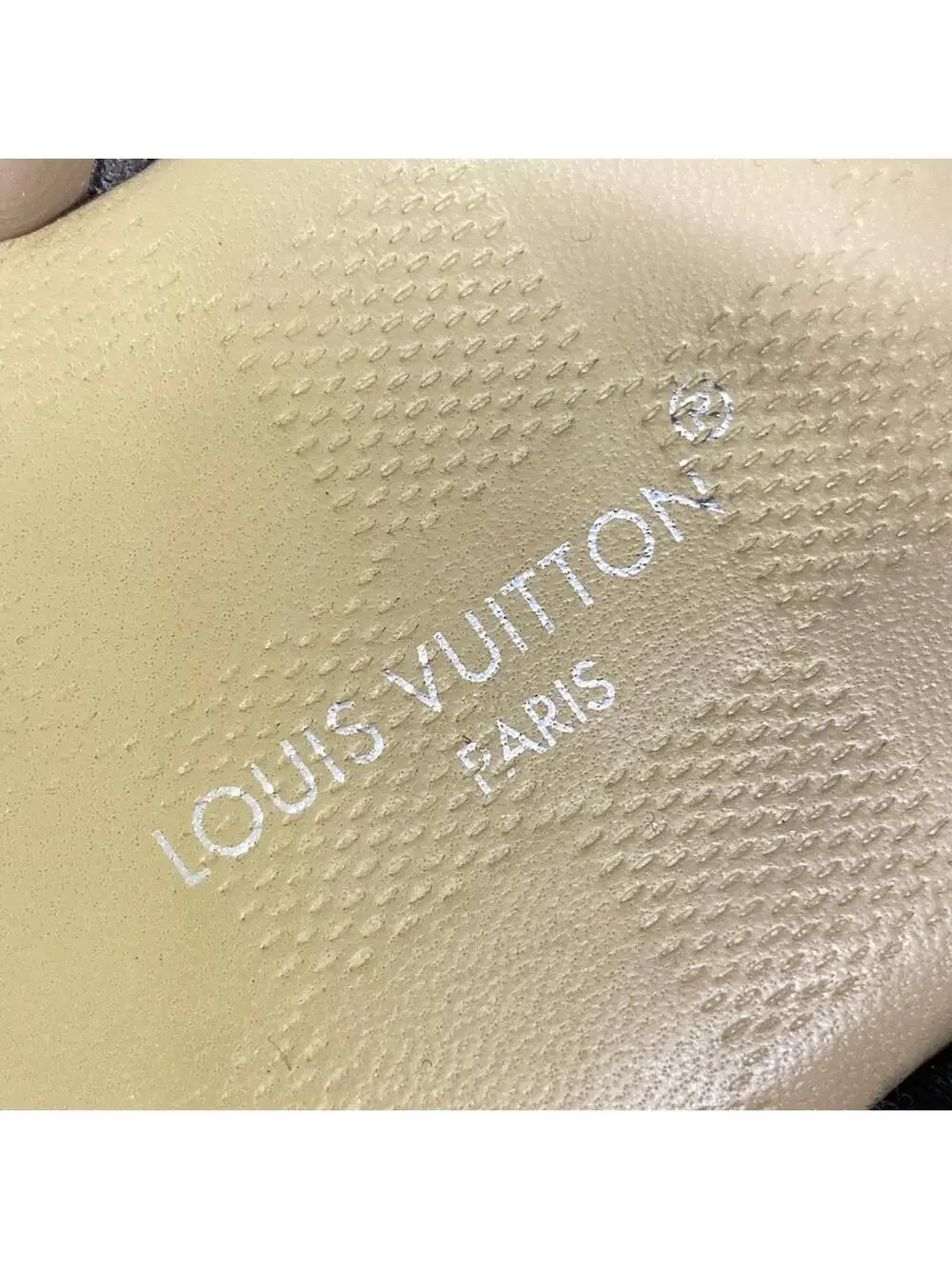 Louis Vuitton elevate your