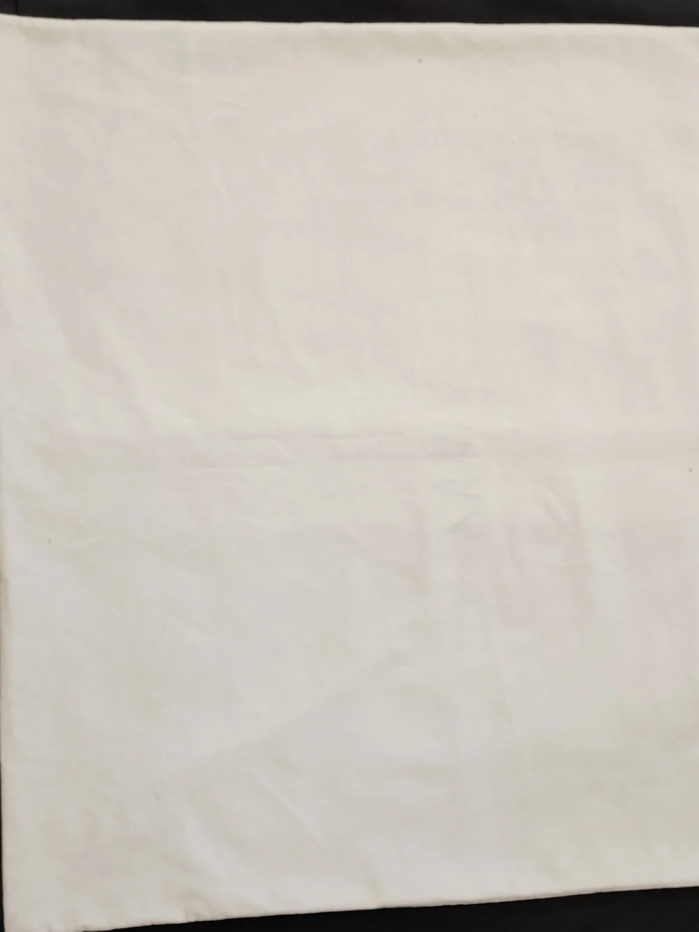 ZARA Cream Cotton Drawstring Dust Bag with Black Logo