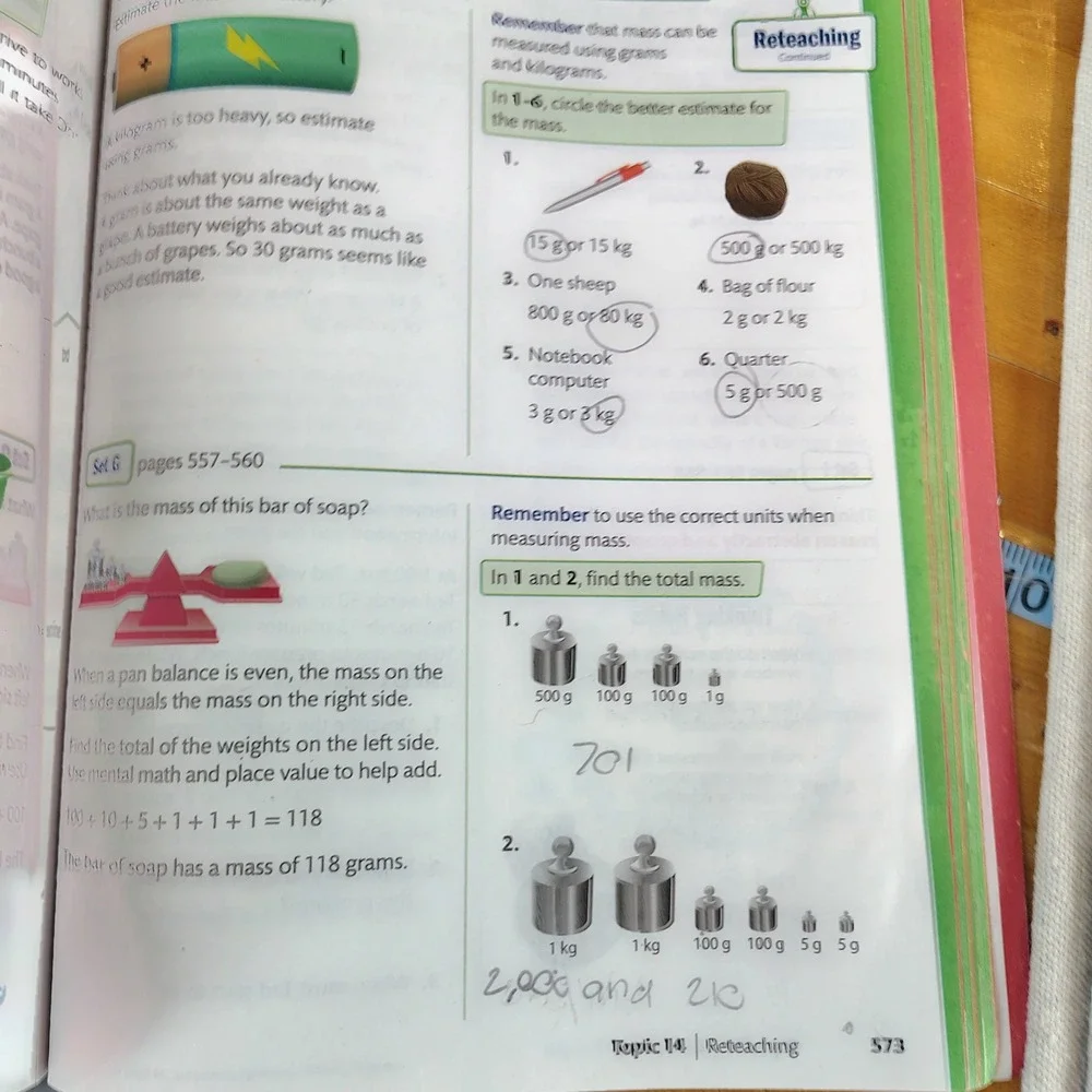 Savvas Learning Company envision mathematics