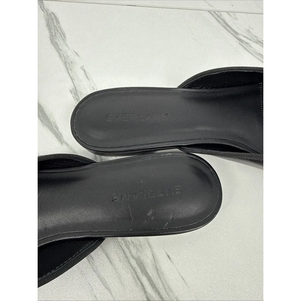Everlane comes from