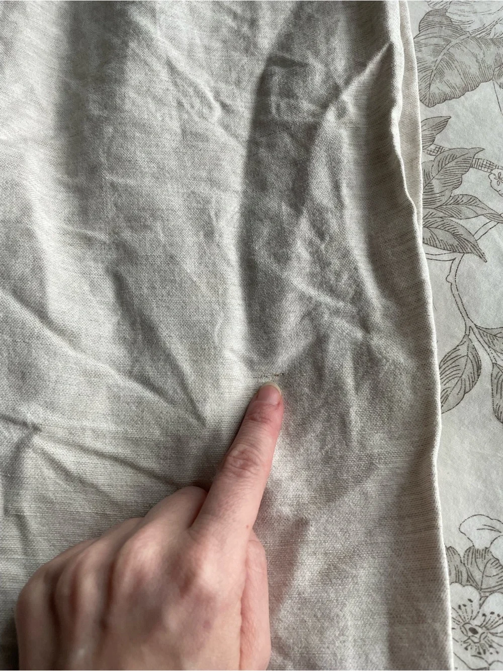 Wilfred aritzia carrot