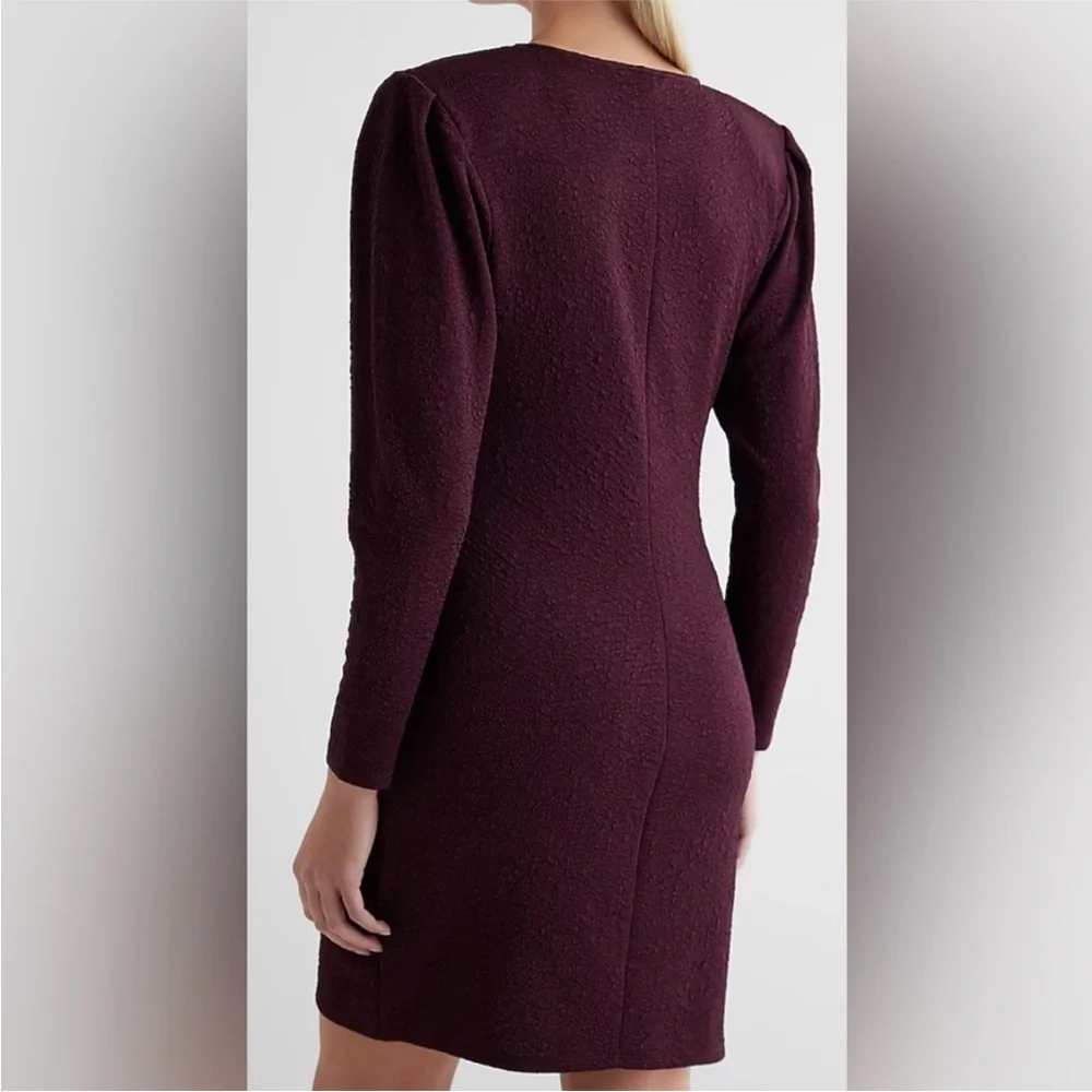 Express Asymmetrical Ruched Bodycon‎ Dress