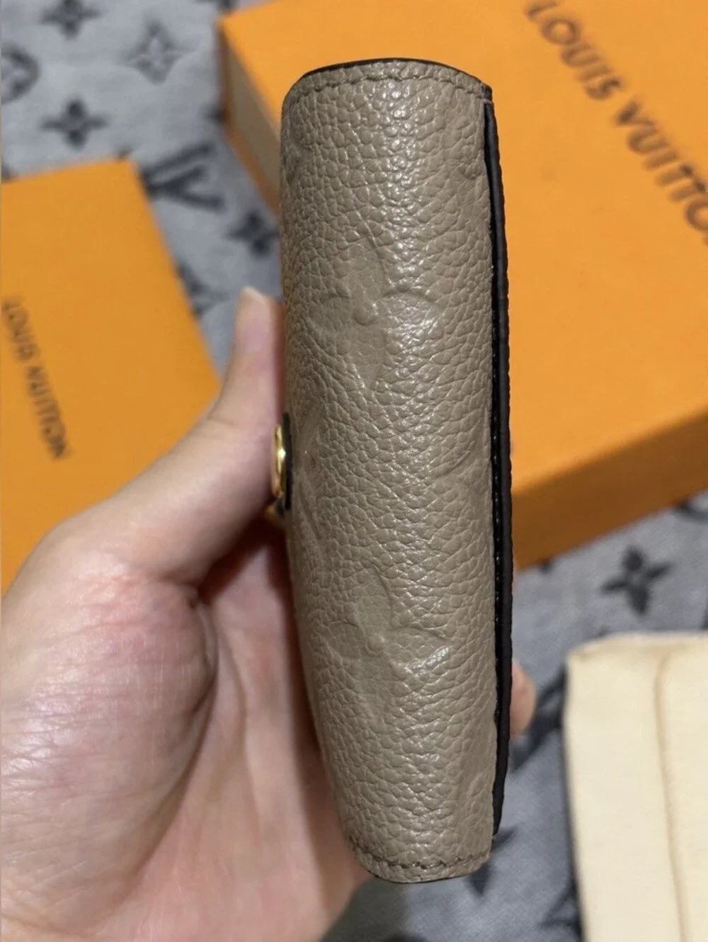 Louis Vuitton monogram envelope