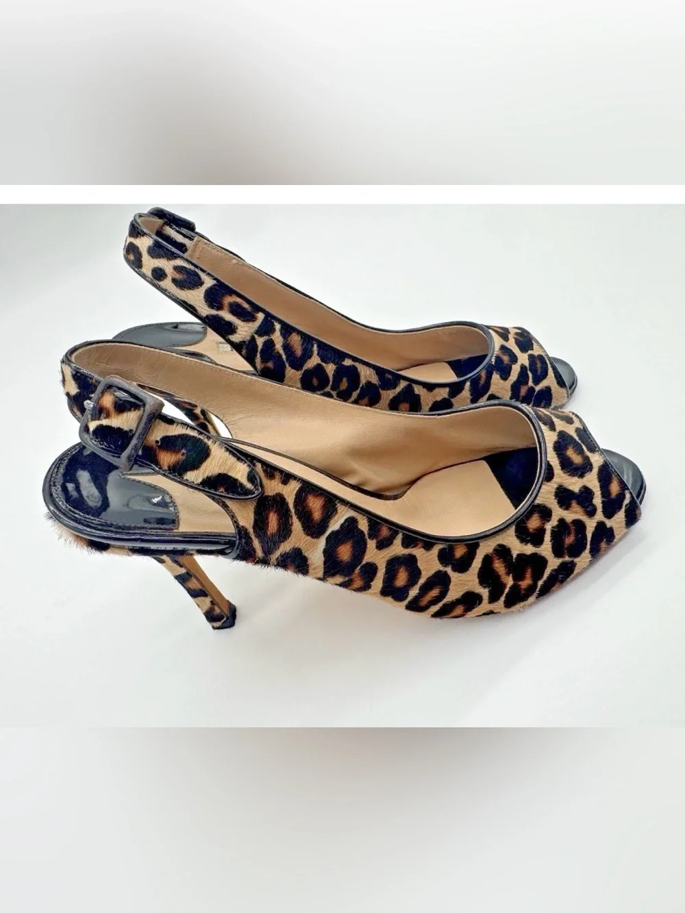 Manolo Blahnik elegant leopard