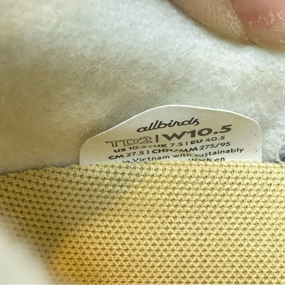 allbirds this pair