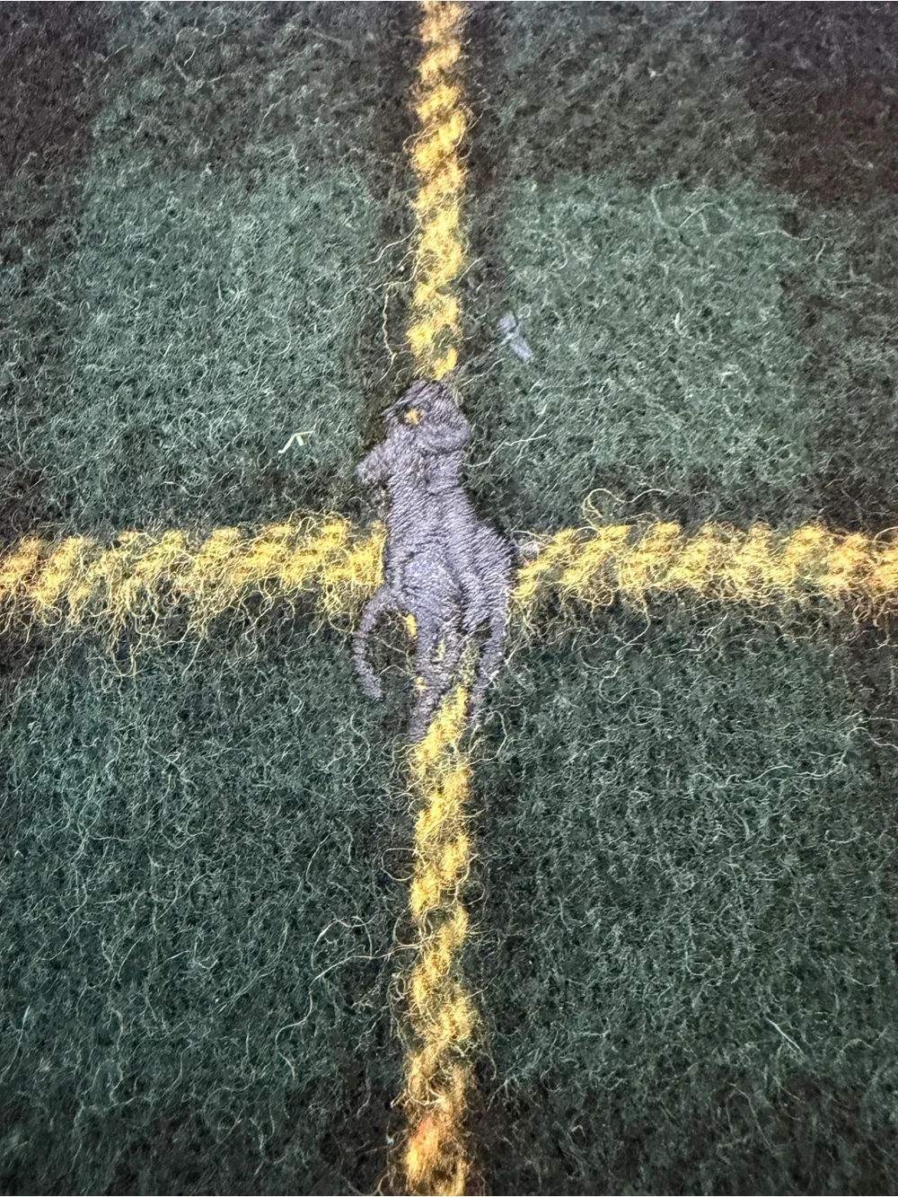 Polo Ralph Lauren this polo