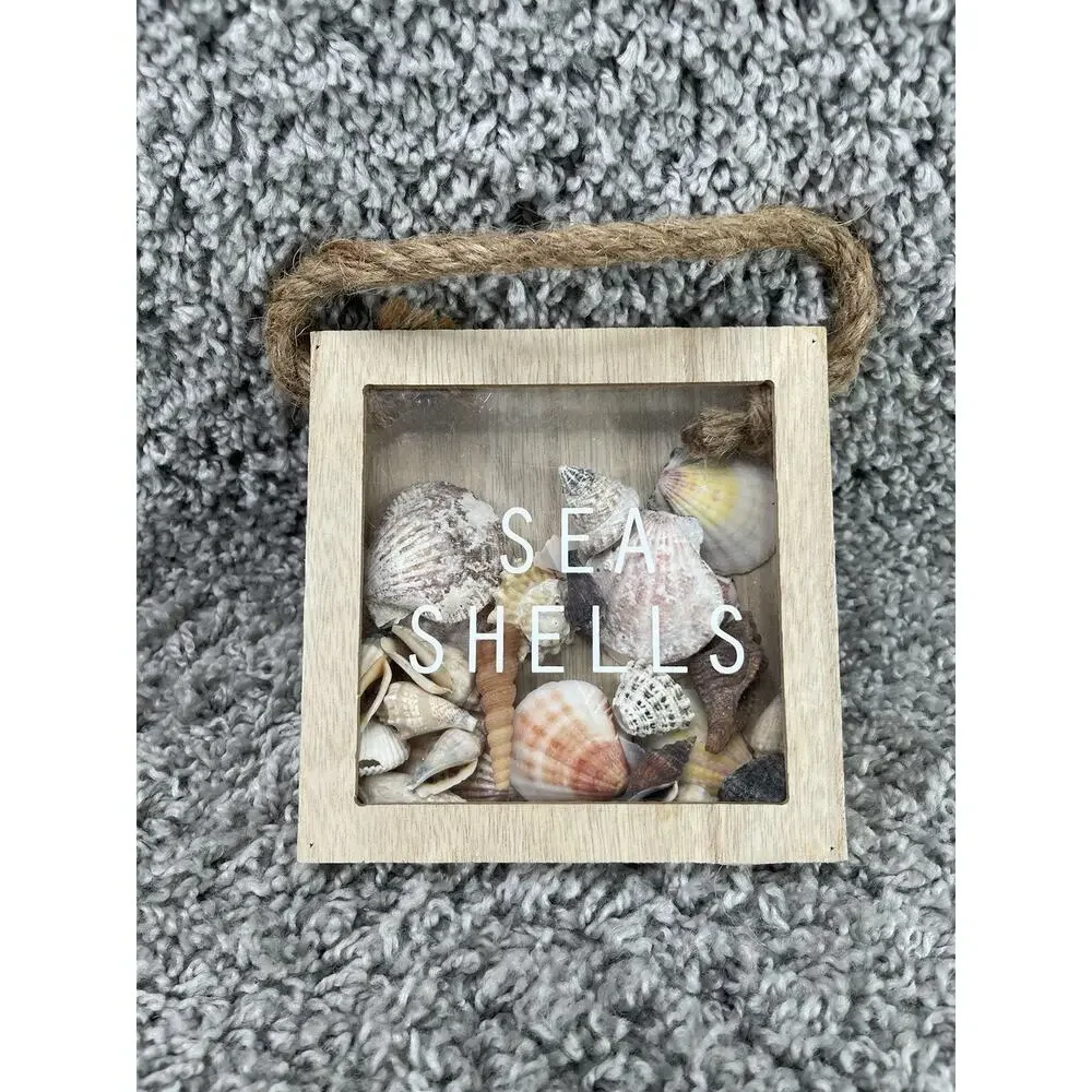 Homemade this seashell