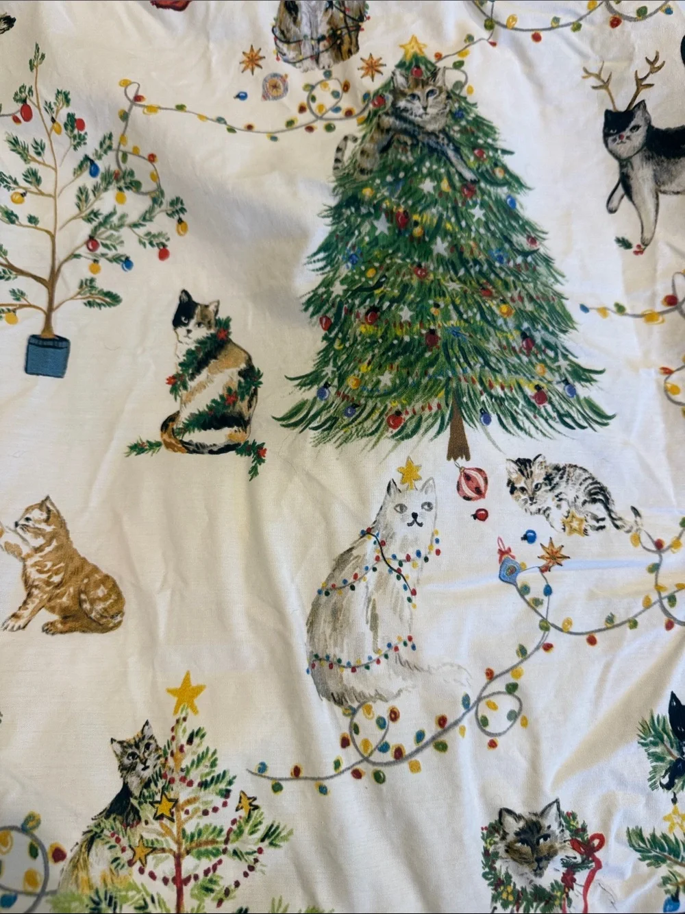 Pottery Barn Cotton Queen Sheet Set  Print Holiday Flat fitted 2 Pillowcases