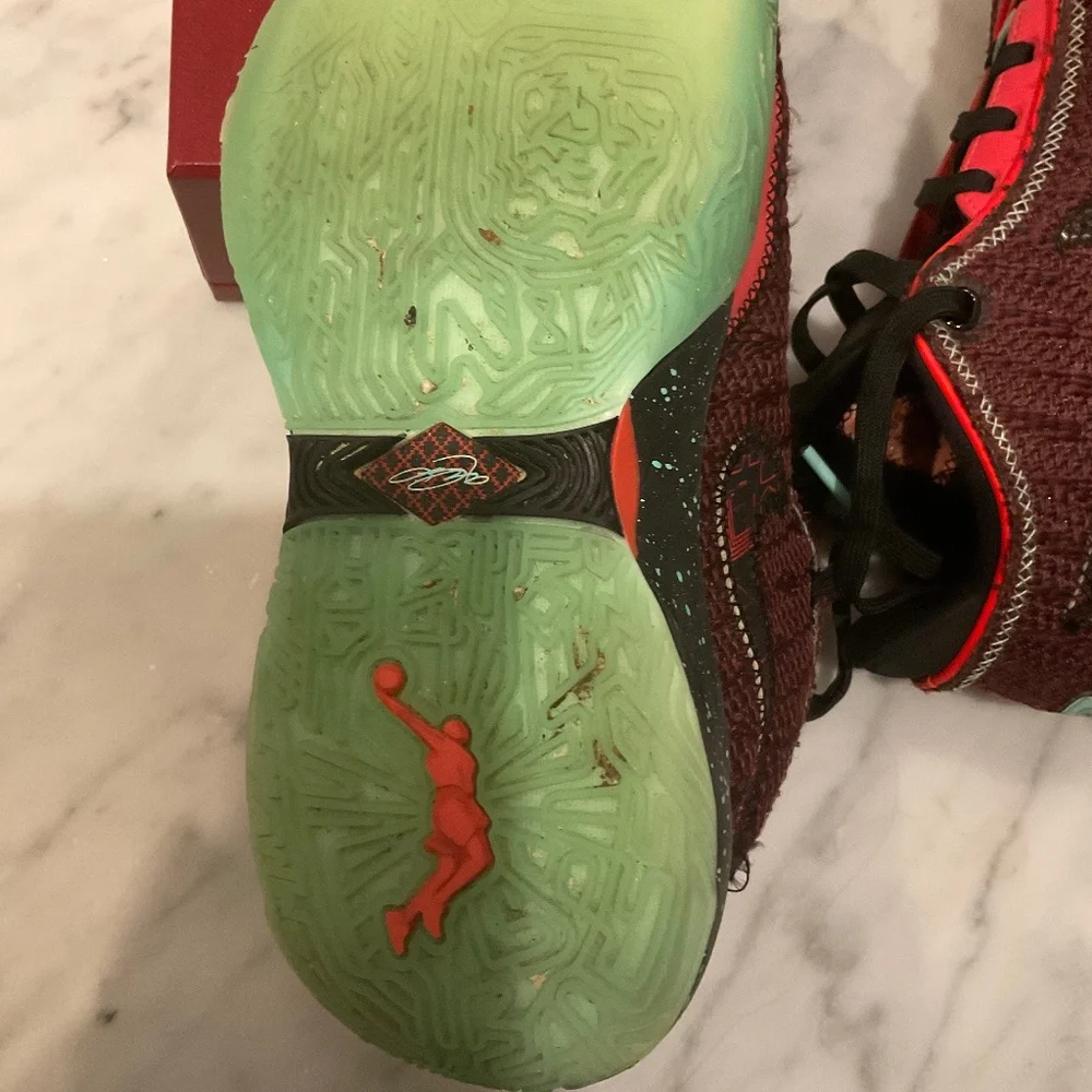 Nike lebron xx