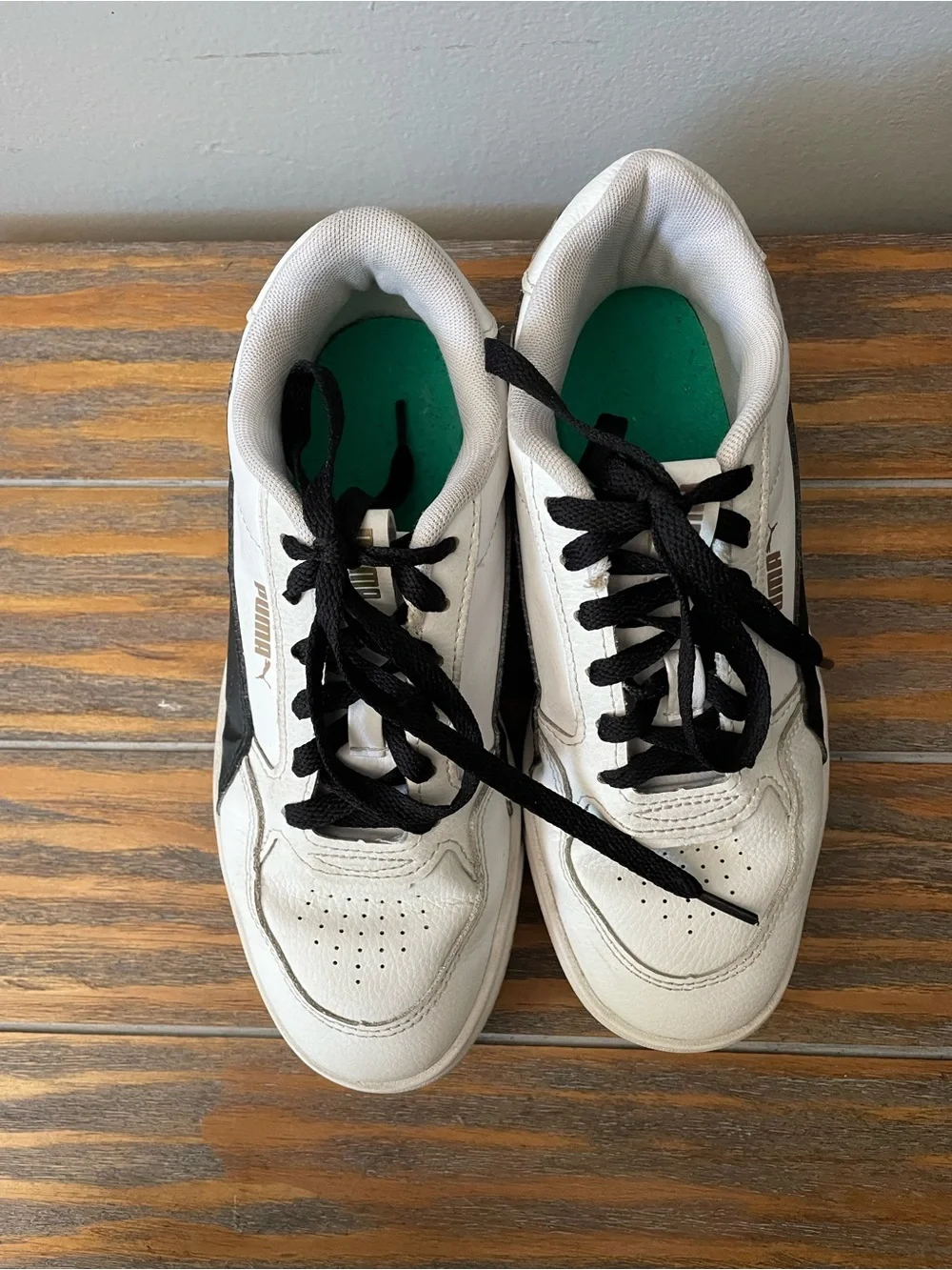 Puma karmen rebelle