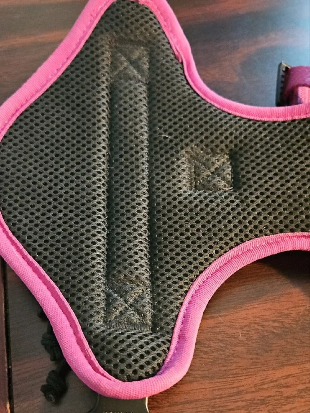 Kong durable harness