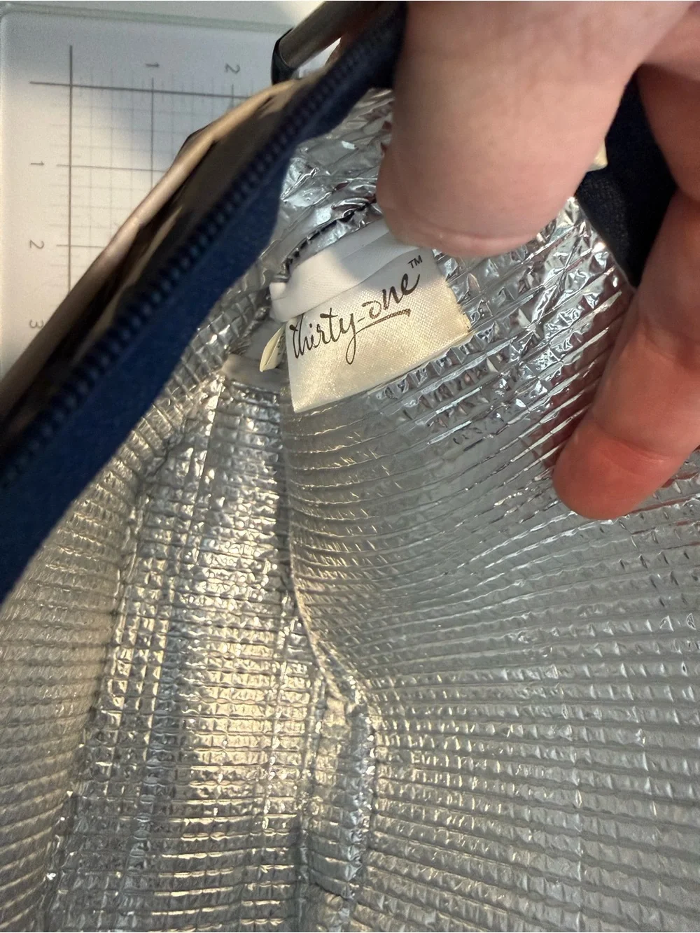 thirty-one insulated pouch
